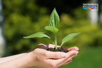 National Mission on Natural Farming, sustainable agriculture, organic farming India, chemical-free farming, natural farming benefits, soil health, current affairs, agricultural productivity, sustainable farming methods, farmers empowerment, eco-friendly agriculture, government initiatives in farming.
