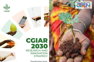 Global Strategy for Resilient Drylands, CGIAR, water scarcity, land degradation, climate change, desertification, solar-powered agrivoltaics, agroforestry, livestock feeding methods, climate-resilient crops, barley, chickpeas, food security, current affairs, drylands sustainability, inclusive development, current affairs