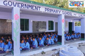 government school enrolment, Ministry of Education, Indian education system, school education crisis, primary education India, government schools decline, education policy, school dropout rates, rural education