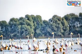 Kichan wetland Rajasthan, Menar wetland, Ramsar sites India 2025, wetland conservation, Indian biodiversity, demoiselle cranes, community-led conservation, ecological significance, Rajasthan wetlands, Ramsar Convention, current affairs, UPSC current affairs, UPSC NDA, UPSC 2025