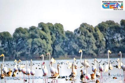 Kichan wetland Rajasthan, Menar wetland, Ramsar sites India 2025, wetland conservation, Indian biodiversity, demoiselle cranes, community-led conservation, ecological significance, Rajasthan wetlands, Ramsar Convention, current affairs, UPSC current affairs, UPSC NDA, UPSC 2025