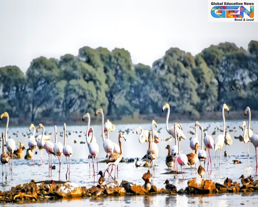 Kichan wetland Rajasthan, Menar wetland, Ramsar sites India 2025, wetland conservation, Indian biodiversity, demoiselle cranes, community-led conservation, ecological significance, Rajasthan wetlands, Ramsar Convention, current affairs, UPSC current affairs, UPSC NDA, UPSC 2025