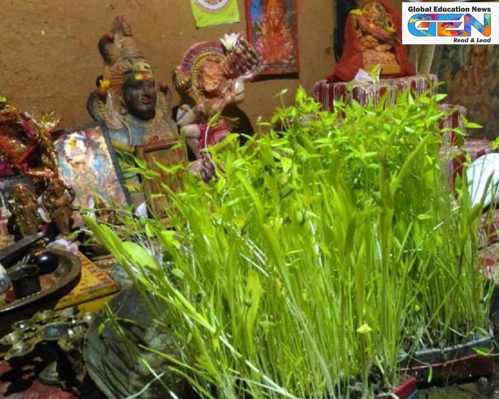 Harela Festival 2025, Uttarakhand tree plantation, 5 lakh saplings, environmental conservation, Pushkar Singh Dhami, Kumaon culture, green festival Uttarakhand, nature preservation, current affairs, UPSC current affairs, UPSC MAin