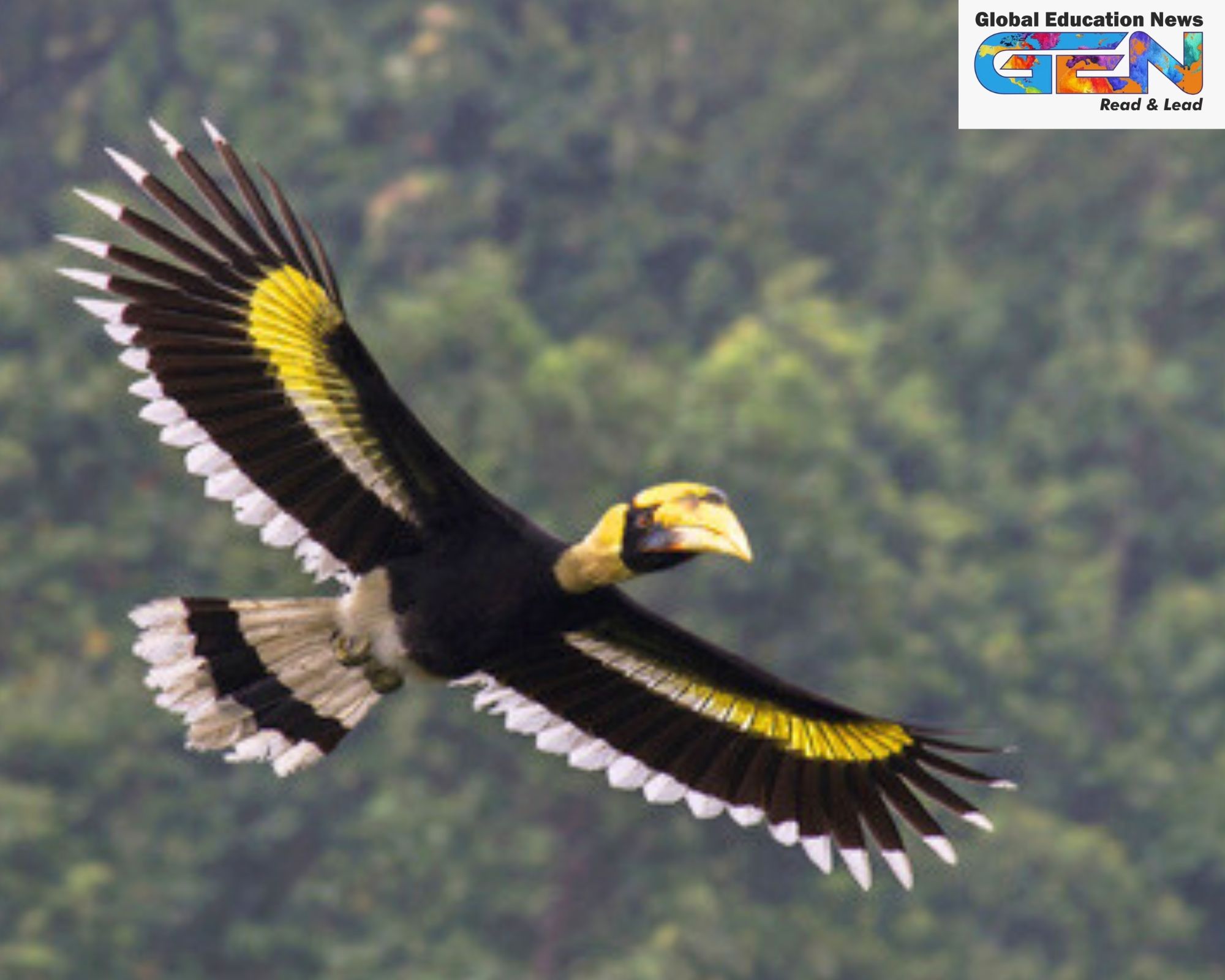 Hornbill Conservation Centre, Anamalai Tiger Reserve, Tamil Nadu biodiversity, Western Ghats hornbills, habitat restoration, endangered species, forest regeneration, climate change impact, Great Hornbill, Malabar Grey Hornbill, current affairs, UPSC current affairs, UPSC CSE MAin