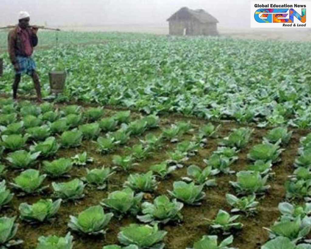 horticulture in schools, Himachal Pradesh education reform, vocational education HP, HPBOSE curriculum, skill development, education initiatives, education news