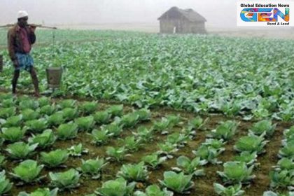 horticulture in schools, Himachal Pradesh education reform, vocational education HP, HPBOSE curriculum, skill development, education initiatives, education news