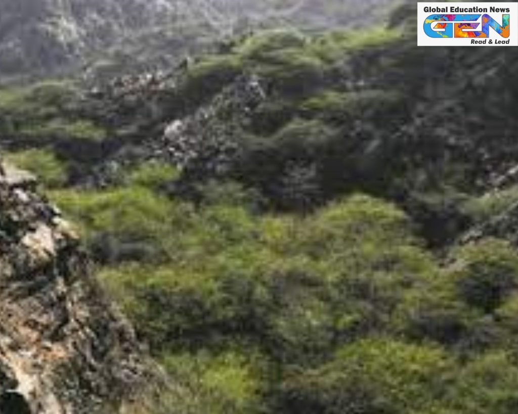 Haryana forest definition 2025, Supreme Court forest directive, Aravalli ridge conservation, FCA 1980 amendment, Godavarman case 1996, GIS forest mapping, eco-sensitive Aravalli, current affairs, UPSC current affairs, UPSC CSE