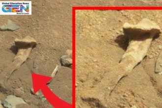 NASA Mars biosignatures 2024, Perseverance Cheyava Falls, potential life on Mars, Mars Sample Return mission, organic compounds Mars, Jezero Crater discovery, astrobiology 2025, microbial life evidence, current affairs, education, UPSC current affairs