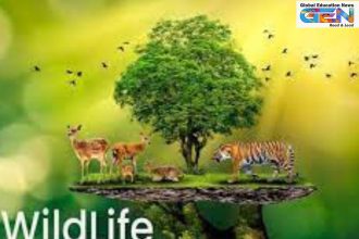 India wildlife projects 2025, Dolphin Sloth Bear Gharial conservation, human wildlife conflict centre, tiger reserves initiative, Wildlife Week Dehradun, Bhupender Yadav launch, national hackathon HWC, population estimation cycles, SACON excellence centre, current affairs, UPSC current affairs, education