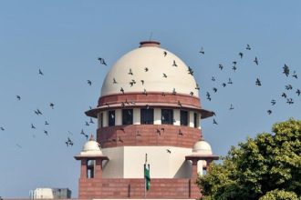 NEET PG cut off, SC directs NBEMS explanation, qualifying percentile NEET PG 2025, medical exam board justification, medical postgraduate admissions, seat vacancy solution, education news, NEP 2020
