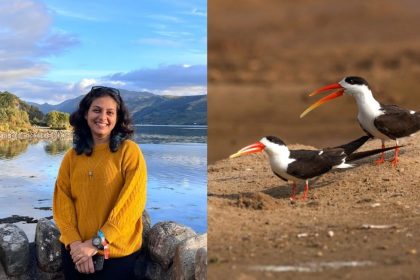 Parveen Shaikh Whitley Award 2026, Indian skimmer conservation India, Whitley Fund for Nature award, Guardians of the Skimmer project, river conservation India, endangered species India, wildlife conservation success story, environmental awards India, current affairs